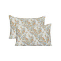 Two patterned pillows on a white background