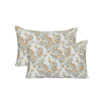 Two patterned pillows on a white background